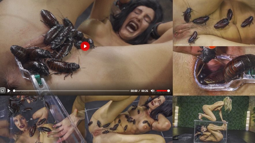 [QueenSnake.com / QueenSect.com] Intrusion [28.05.2019 г., BDSM, Leech, Bugs, Insects, Orgasm, Blood, 2160p 4k]