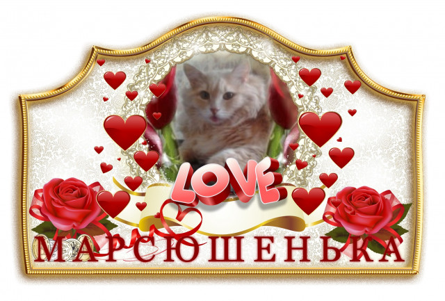 Виртуальный рай для животных