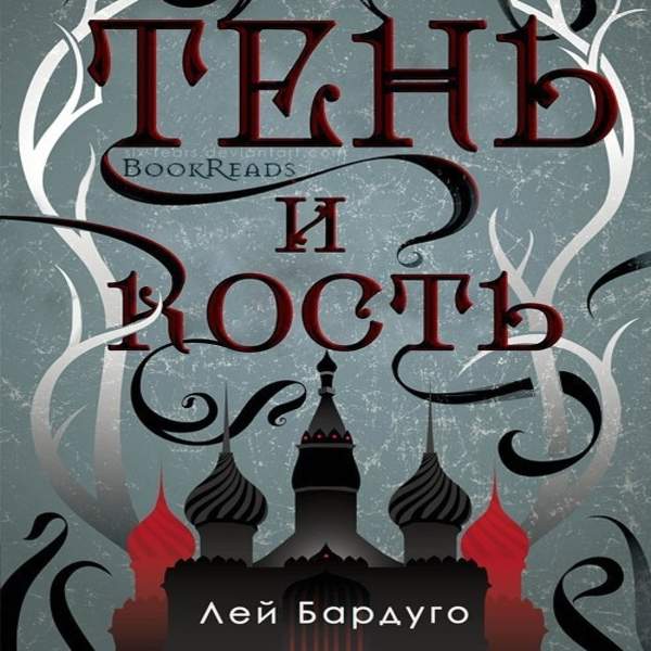 Тень и кость аудиокнига слушать. Тень и кость аудиокнига. Ли Бардуго "крах и Восход". Штурм и буря ли Бардуго книга. Чернила и кость Рейчел Кейн.