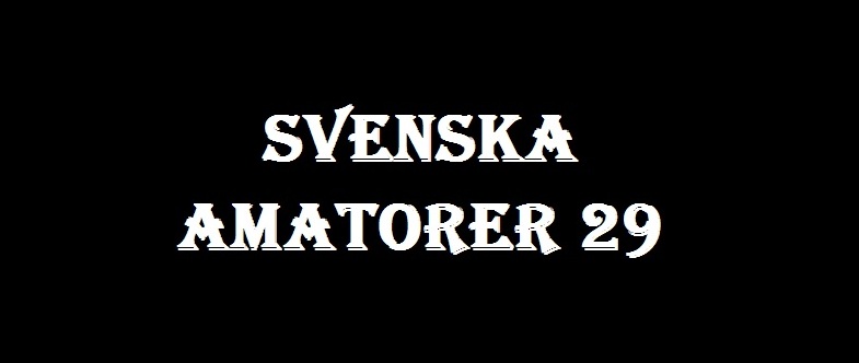 Svenska Amatorer #29 / Шведские любители #29 (Nordic Adult Entertainment Sweden AB) [2011 г., Amateur, All Sex, Hardcore, Oral, Outdoor, Masturbation, Toys, DVDRip]