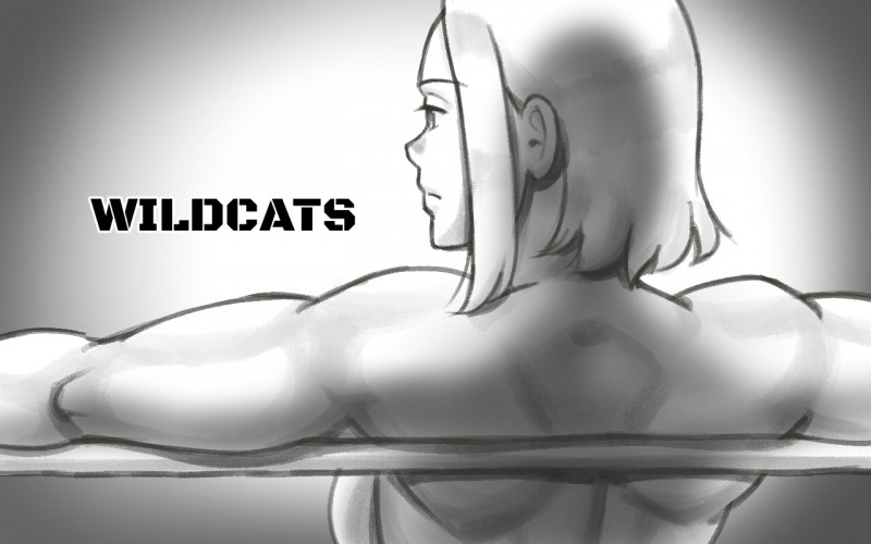 Mizuiro Megane - Wildcats Hentai Comics