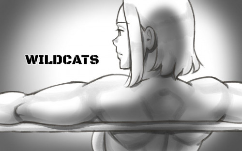 Wildcats Hentai Comic